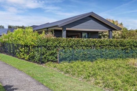 Photo of property in 38 Pakanga Grove, Pyes Pa, Tauranga, 3112