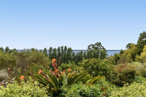 Photo of property in 101 Turntable Hill Road, Whakamarama, Katikati, 3181