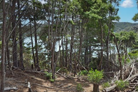 Photo of property in 4 Schoolhouse Bay Road, Kawau Island, 0920