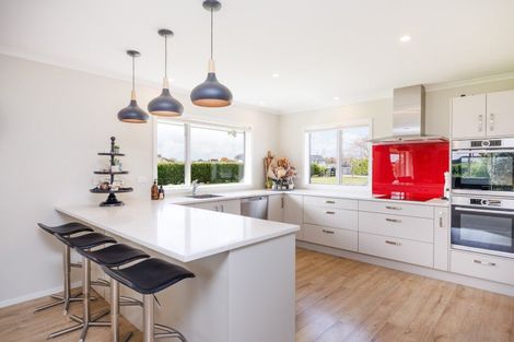 Photo of property in 25 Roots Street East, Feilding, 4702