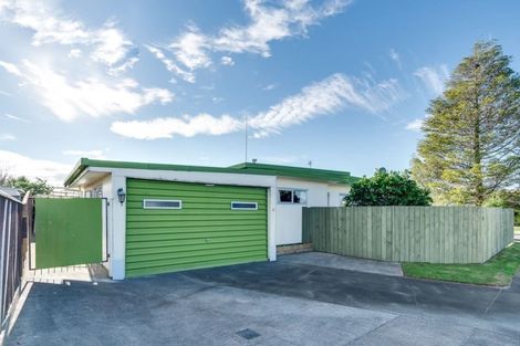 Photo of property in 43 Lanark Place, Tamatea, Napier, 4112