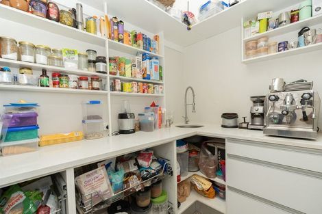 Photo of property in 49b Te Awa Lane, Tamahere, Hamilton, 3283