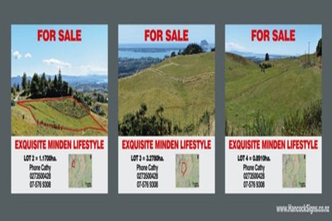 Photo of property in 596 Minden Road, Minden, Tauranga, 3176