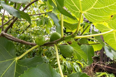 Photo of property in 127 Kimihia Road, Huntly, 3700