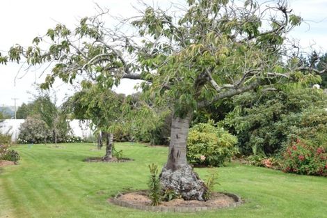 Photo of property in 351 Island Edendale Road, Menzies Ferry, Wyndham, 9891