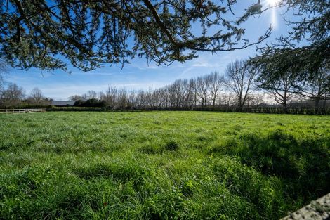Photo of property in 370 Bellevue Road, Matangi, Cambridge, 3493
