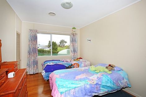 Photo of property in 210 Morrison Road, Pukekawa, Tuakau, 2696