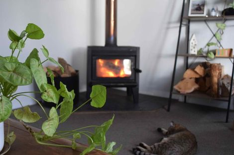 Photo of property in 22 Quarry Road, Green Island, Dunedin, 9018