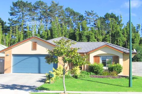 Photo of property in 84 Summerland Drive, Henderson, Auckland, 0612