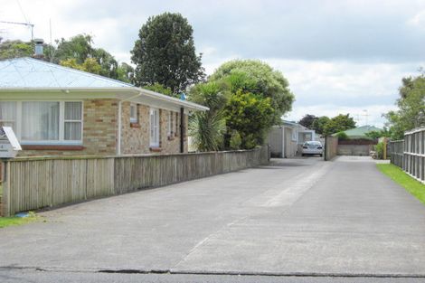 Photo of property in 48 Wellington Street, Pukekohe, 2120
