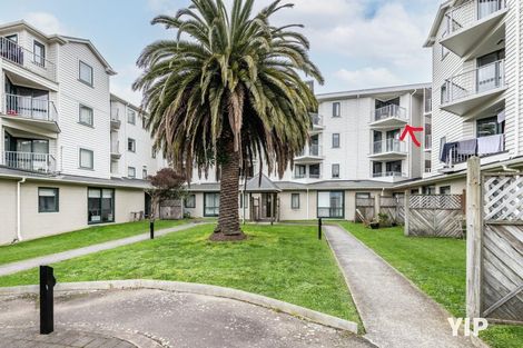 Photo of property in Palm Grove Apartments, 9/13d Palm Grove, Berhampore, Wellington, 6023