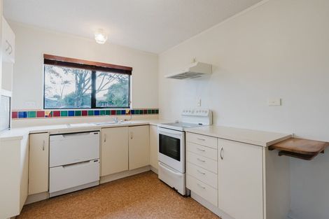 Photo of property in 14 Vine Street, Hillcrest, Hamilton, 3216