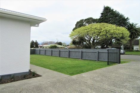 Photo of property in 100 Derby Street, Feilding, 4702
