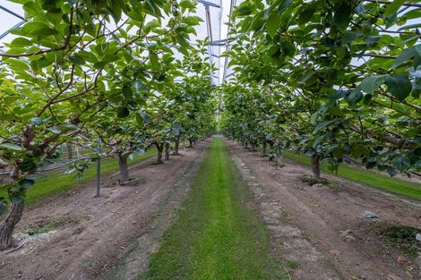 Photo of property in 225 Hoeka Road, Matangi, Hamilton, 3284