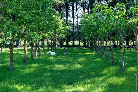 Photo of property in 165 North Eyre Road, Swannanoa, Kaiapoi, 7692