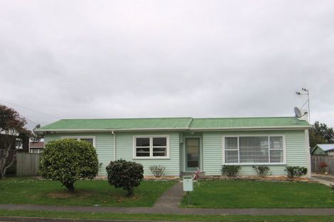 Photo of property in 6 Beatty Street, Levin, 5510