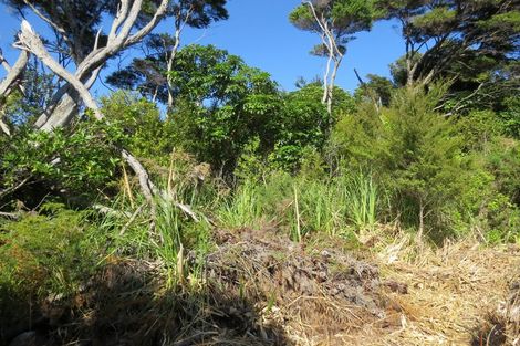 Photo of property in 614 Wyuna Bay Road, Wyuna Bay, Coromandel, 3581