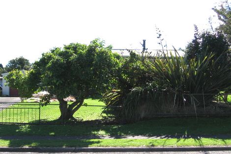 Photo of property in 15 Scotia Glen Street, Putaruru, 3411