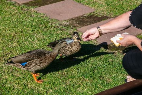 Photo of property in 48 Wilson Road, Waihi Beach, 3611