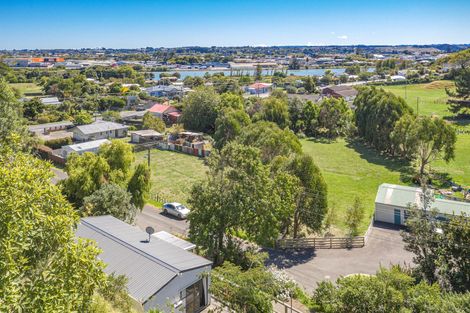 Photo of property in 14 Ngatarua Road, Putiki, Whanganui, 4500