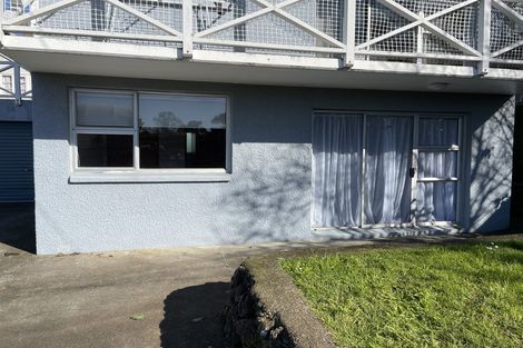 Photo of property in 57 Tripoli Road, Panmure, Auckland, 1072