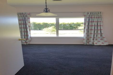 Photo of property in 84 Prossers Road, Leeston, 7682