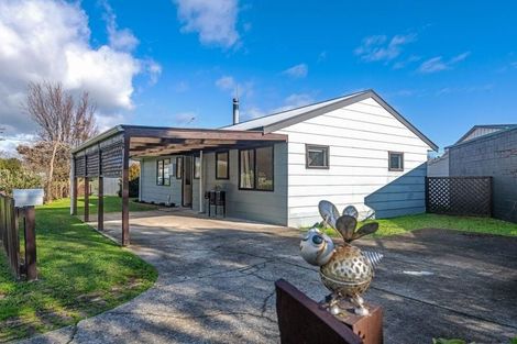 Photo of property in 3 Cambridge Avenue, Ashhurst, 4810