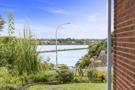 Photo of property in 36 Tutauanui Crescent, Maungatapu, Tauranga, 3112