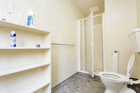 Photo of property in 63 Opoho Road, North East Valley, Dunedin, 9010