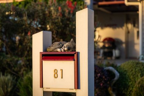 Photo of property in 81 Ballantyne Way, Aongatete, Katikati, 3178