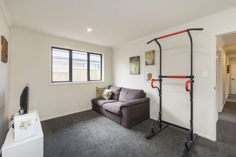 Photo of property in 79 North Street, Ashhurst, 4810