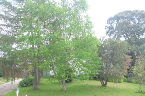 Photo of property in 45 Richmond Avenue, Richmond Heights, Taupo, 3330