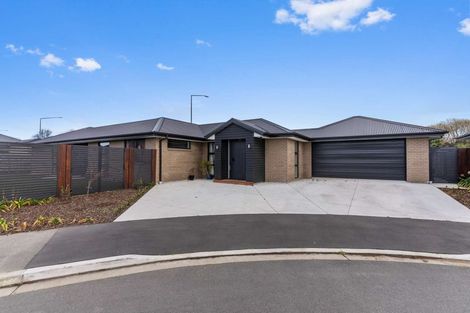 Photo of property in 5 Atap Place, Northwood, Christchurch, 8051