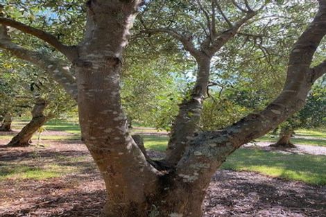 Photo of property in 478 Hihi Road, Hihi, Mangonui, 0494