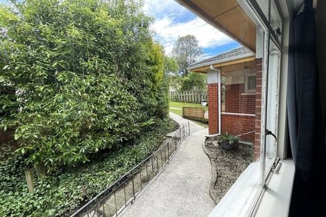 Photo of property in 16 Warden Street, Opoho, Dunedin, 9010