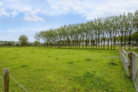 Photo of property in 71 Whelans Road, Levin, 5571