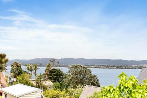 Photo of property in 122 Island Bay Road, Beach Haven, Auckland, 0626