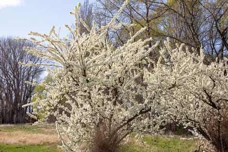 Photo of property in 58 Hawley Road, Blackmans, Alexandra, 9391