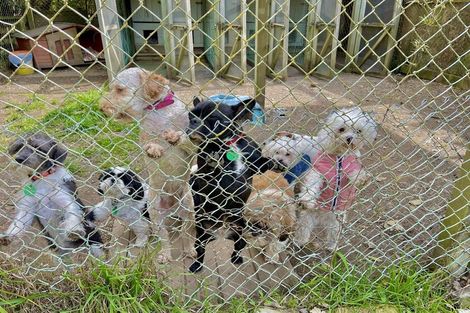 Photo of property in 23 Goodwood Road, Goodwood, Palmerston, 9481