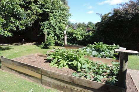 Photo of property in 45 Carroll Street, Waharoa, 3401