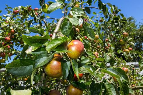 Photo of property in 28 Moeraki Road, Maoribank, Upper Hutt, 5018