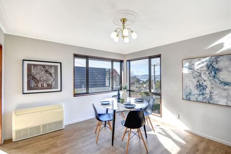 Photo of property in 33 Kilgour Street, Roslyn, Dunedin, 9010