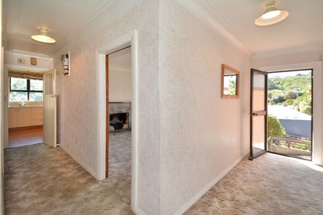 Photo of property in 14 Heath Street, Andersons Bay, Dunedin, 9013