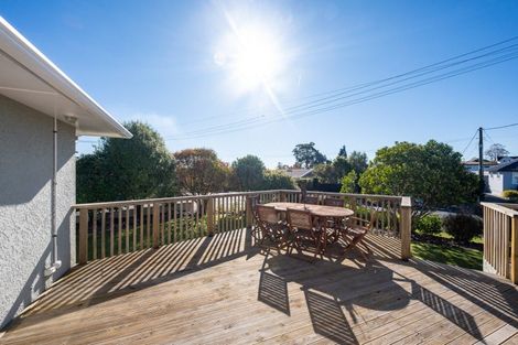 Photo of property in 18 Hunt Street, Richmond, 7020