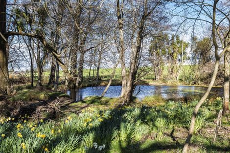 Photo of property in 47 Rowallan Road, Coalgate, Darfield, 7571