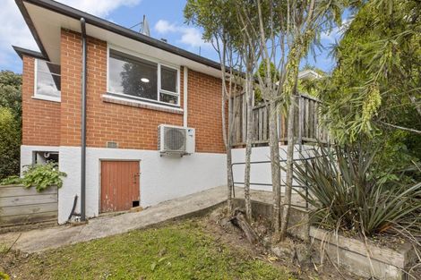 Photo of property in 113 Riselaw Road, Calton Hill, Dunedin, 9012