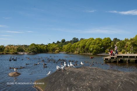 Photo of property in 68a Solomon Street, Brookfield, Tauranga, 3110