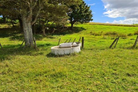 Photo of property in 304 Arapaoa Road, Tinopai, Matakohe, 0593