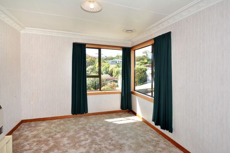 Photo of property in 14 Heath Street, Andersons Bay, Dunedin, 9013