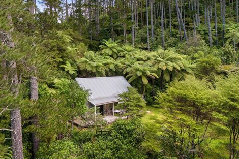 Photo of property in 403 Woodland Road, Tahawai, Katikati, 3170